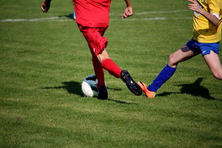 米兰足球官网-拳击国家队备战亚运 实施精英训练计划，拳击亚军奖杯照片